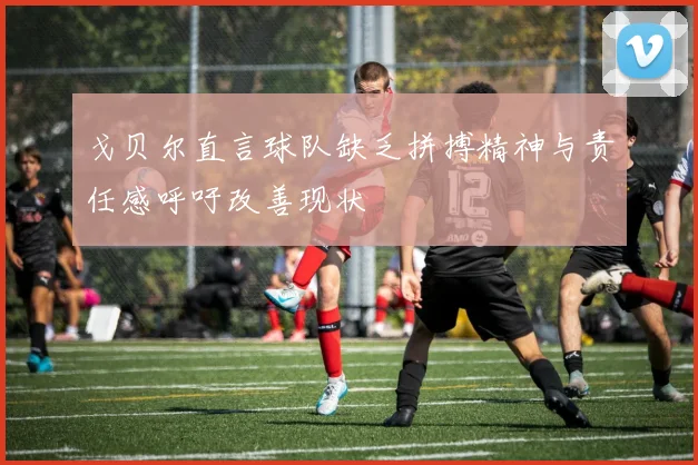戈贝尔直言球队缺乏拼搏精神与责任感呼吁改善现状